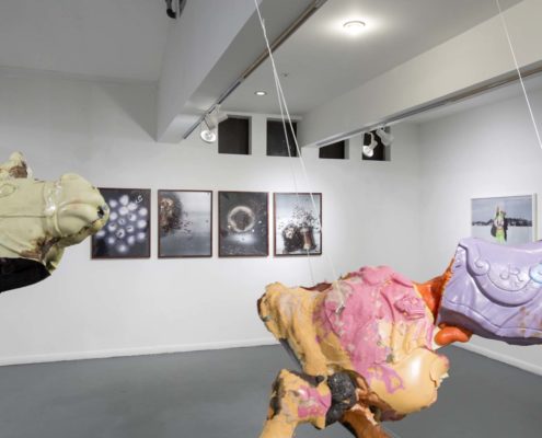 ArtCenter South Florida, Attitudes in Latitudes, 2015, Installation View