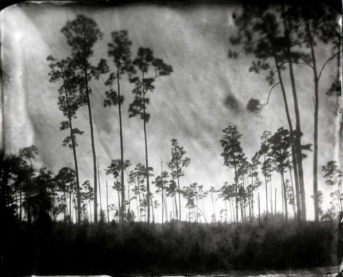 ArtCenter South Florida, Flight 2014, works