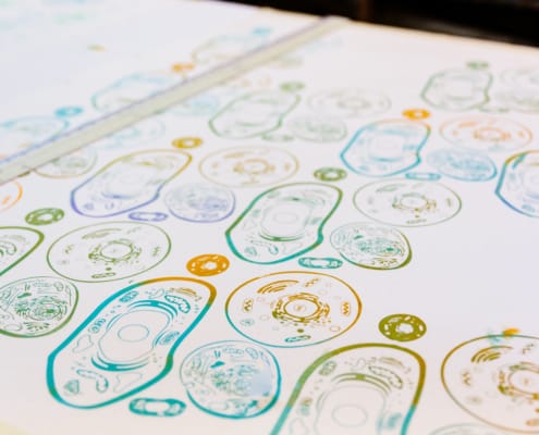 Printmaking at Oolite Arts