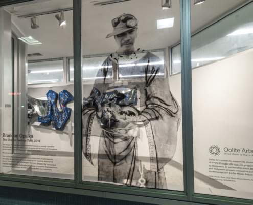 The Shapes Feelings Take by Brandon Opalka, Walgreens Windows