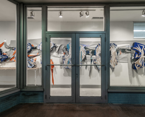 The Shapes Feelings Take by Brandon Opalka, Walgreens Windows