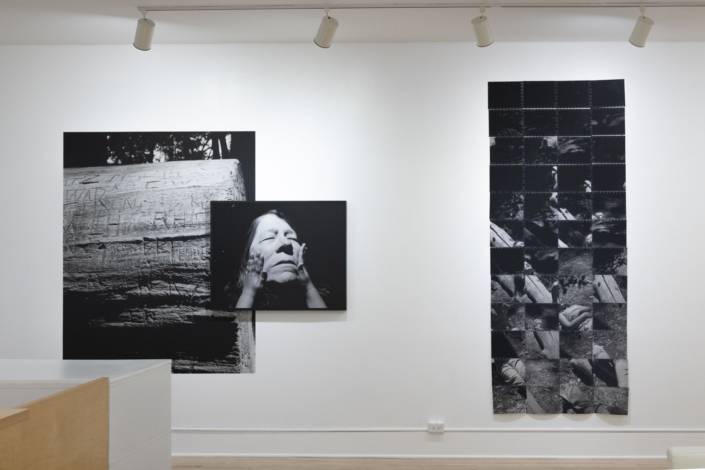 Rose Marie Cromwell Euqinom