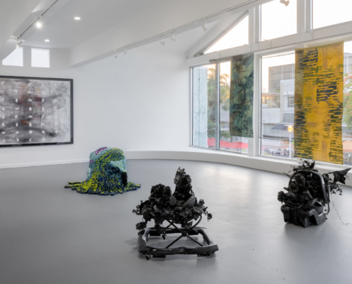 Idioms and Taxonomies installation shot