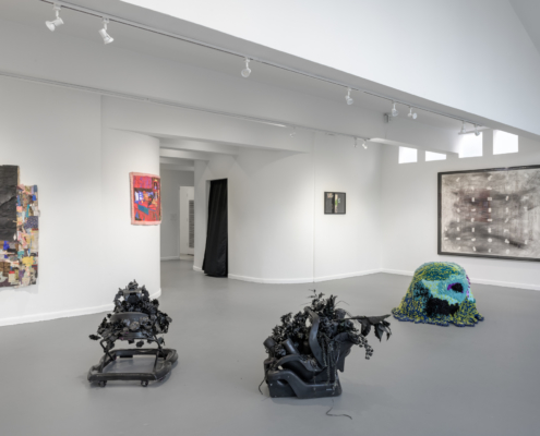 Idioms and Taxonomies installation shot