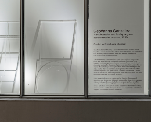 GeoVanna Gonzalez, Installation view of Transformation and Futility. Photo credit Pedro Wazzan