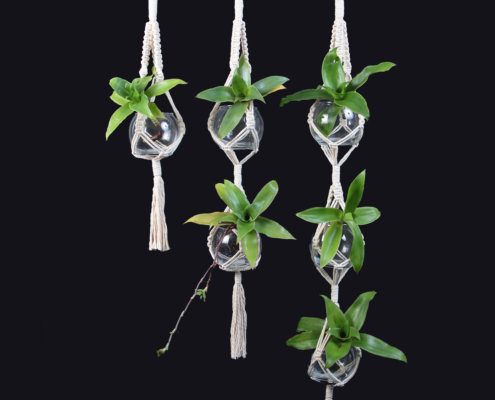 Macrame Plant Hanger with Black background