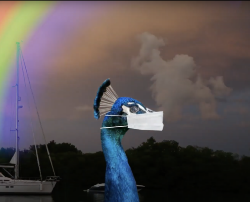 Side profile of a peacock wearing a mask again a background of clouds and trees