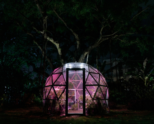 Clear round greenhouse dome lit up with pink colored lights