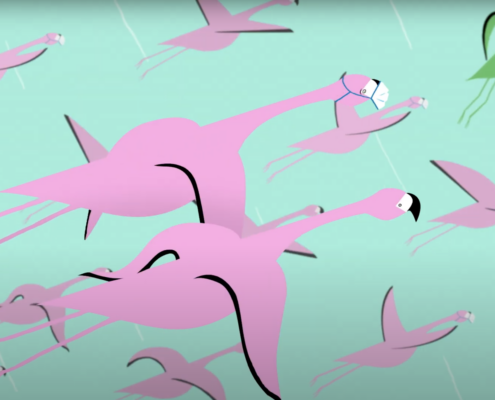 Animated flying flamingos against a teal sky with one green flamingo in the top right corner