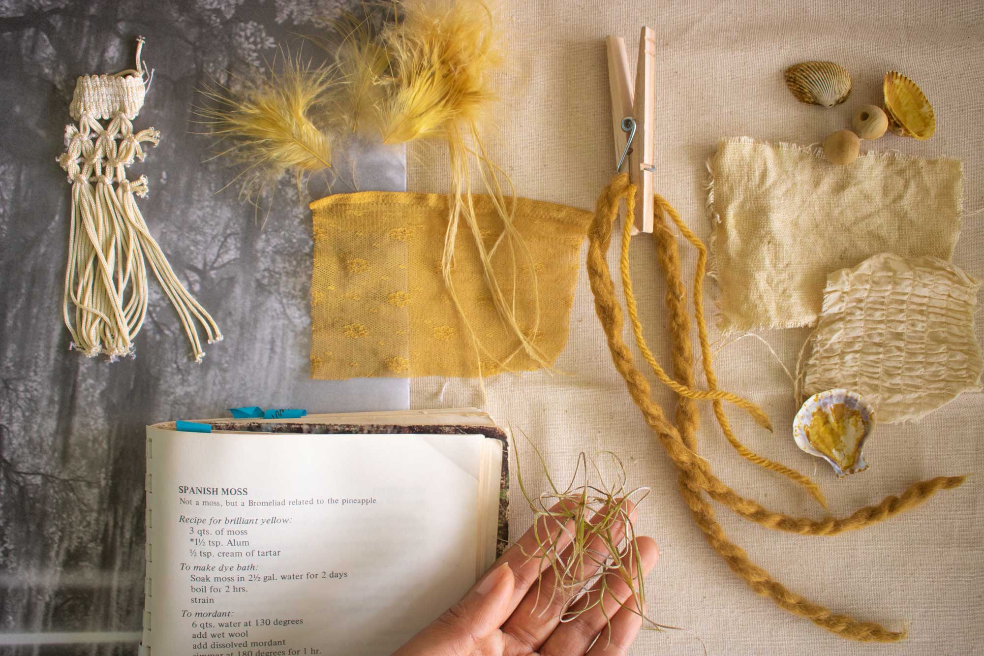 Natural Dyeing Spanish Moss Yellow Oolite Arts