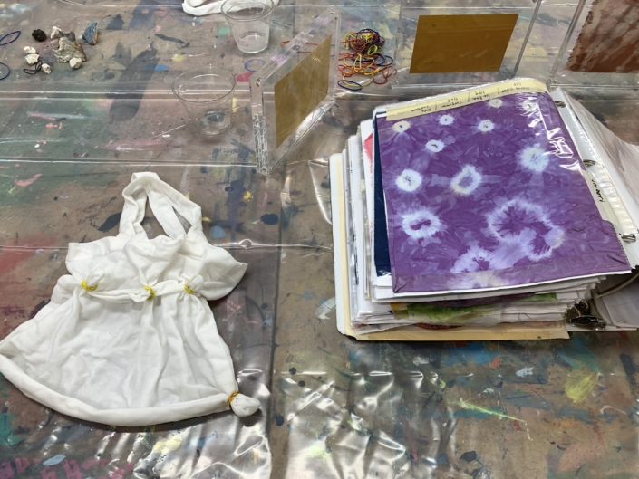 Natural Dyeing Indigo Natural Dyes book and smaple