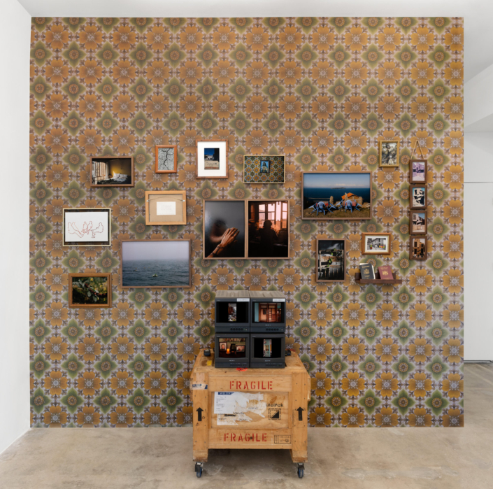 diana larrea work image 2 web