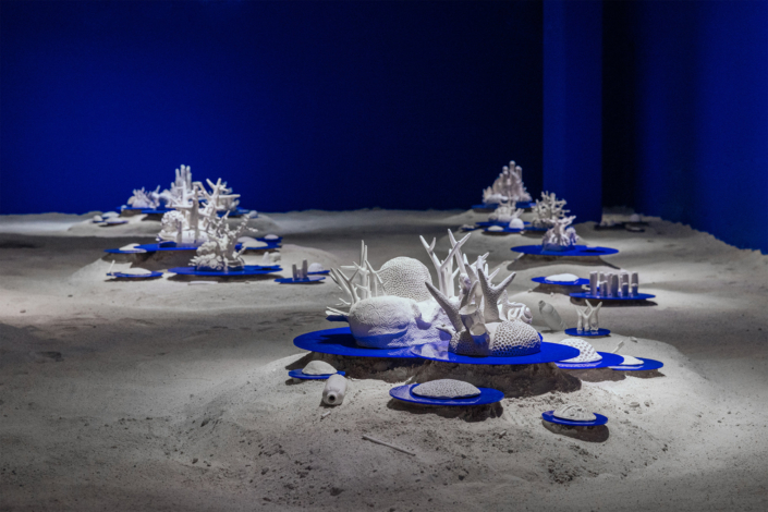 Beatriz Chachamovits Into the great dying waters we share
