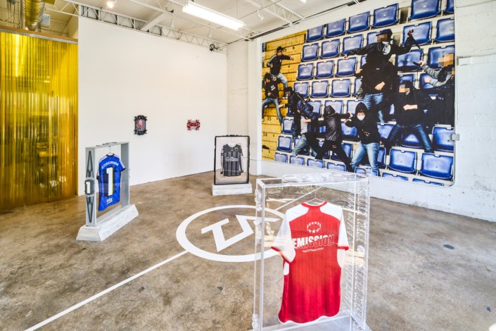 INSIGNIAS INSTALLATION VIEW