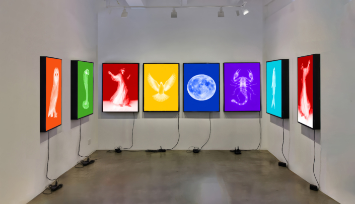 2 Ricardo E. Zulueta , Ghost Chamber, 2026 installation view