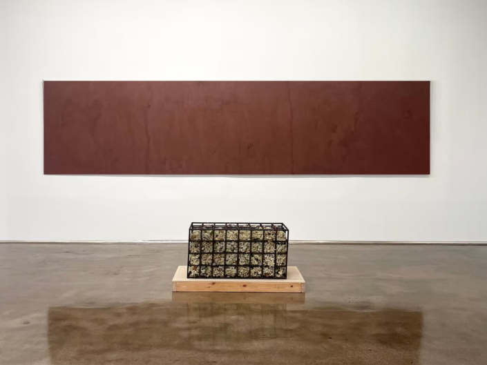 Luna Palazzolo installation view