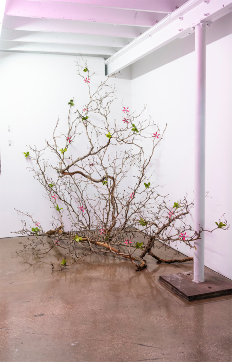 Carol Jazzar The De illusion of the Eyes 2024 Olives branches and C Print photographs cutout