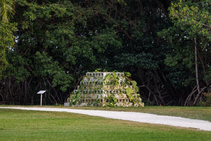 Carol Jazzar The Remains of The Days 2025 site speicif cinder blocks and vines