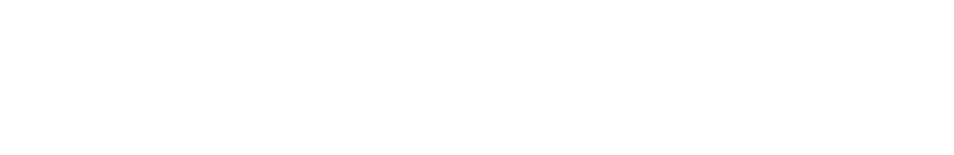 GTLogo White