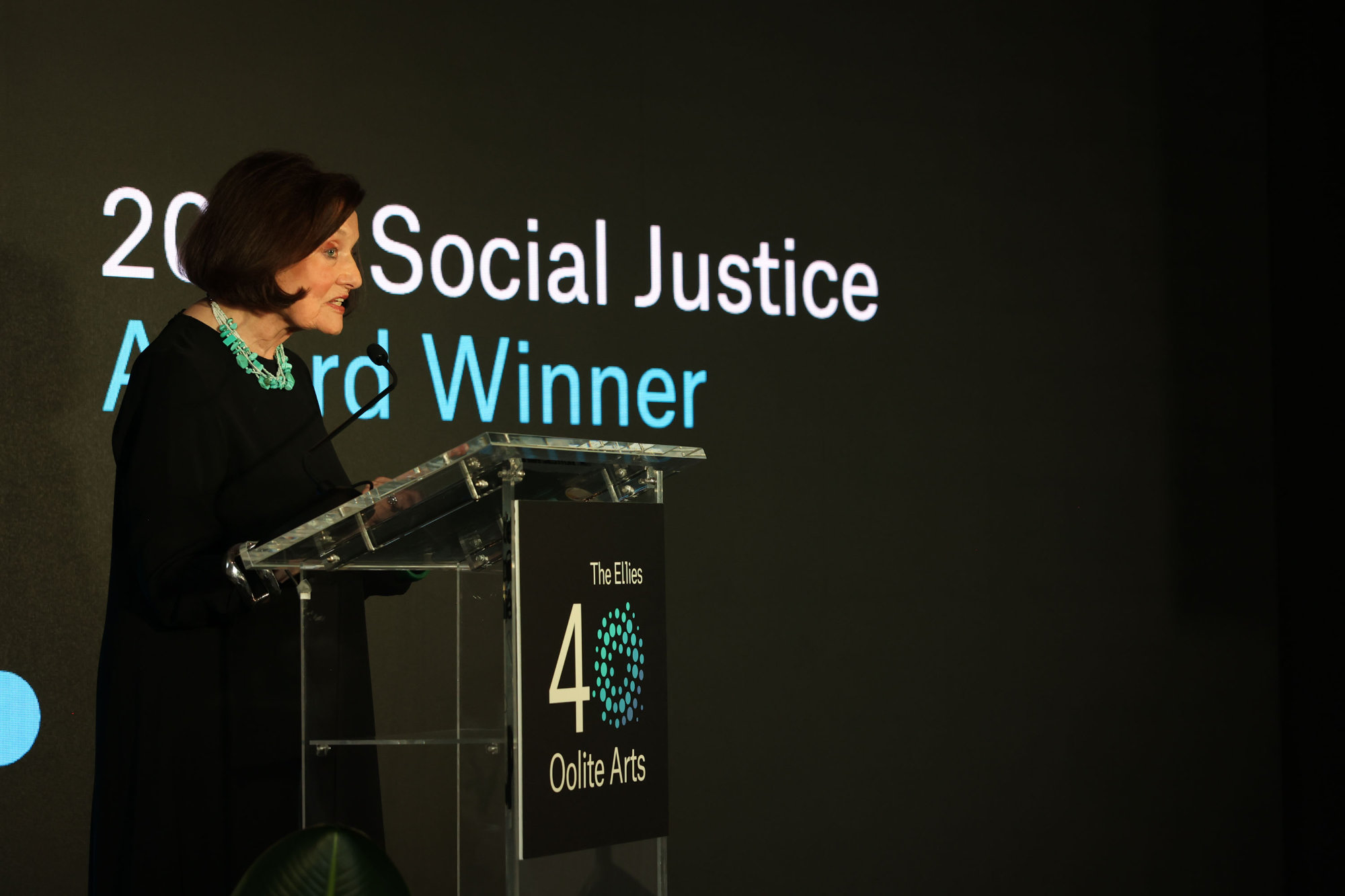 Suzanne Delehanty speaking39