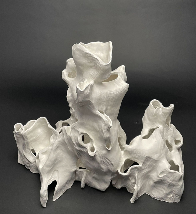Yomarie Silva O Neal 10. system IV