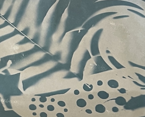 Cyanotype Jacoub
