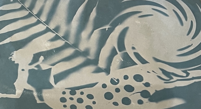 Cyanotype Jacoub Cyanotype Jacoub