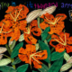 Copy of applique pangea kali virga
