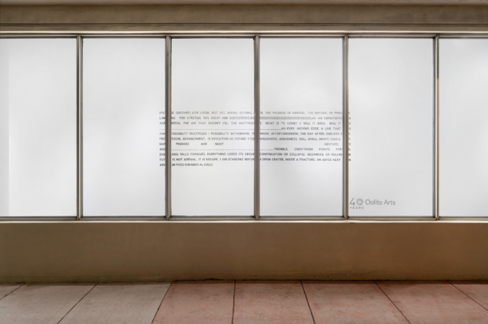 Windows @ Walgreens: Luna Palazzolo Luna Palazzolo