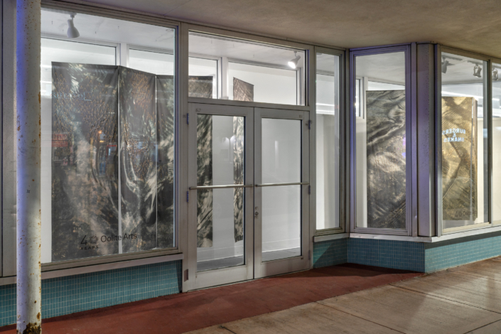 Windows @ Walgreens: Zonia Zena Zonia Zena