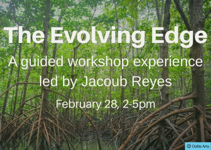 Jacoub Reyes Oolite Workshop copy 2