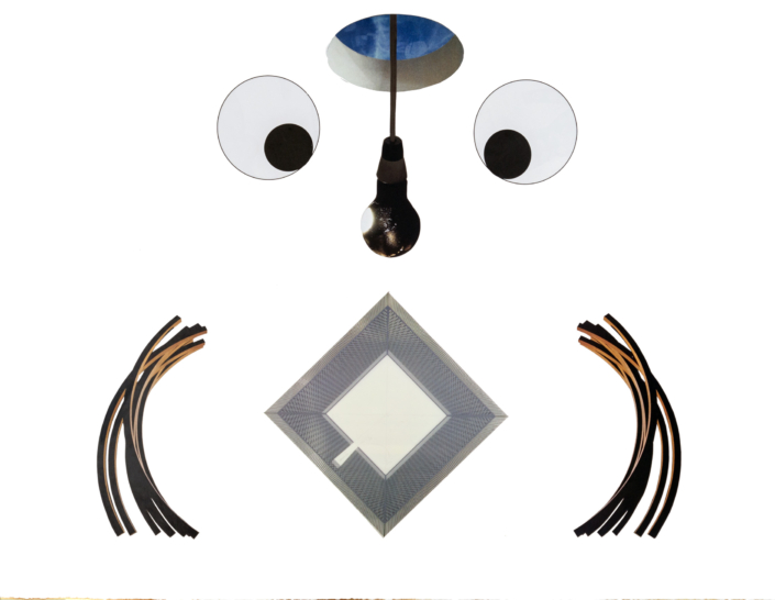 Collage Carol Jazzar