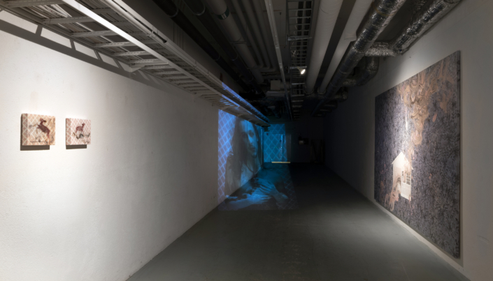 HeCallsMeDiabloHome 2020 VariableDimensions Environment MaikelDominguez
