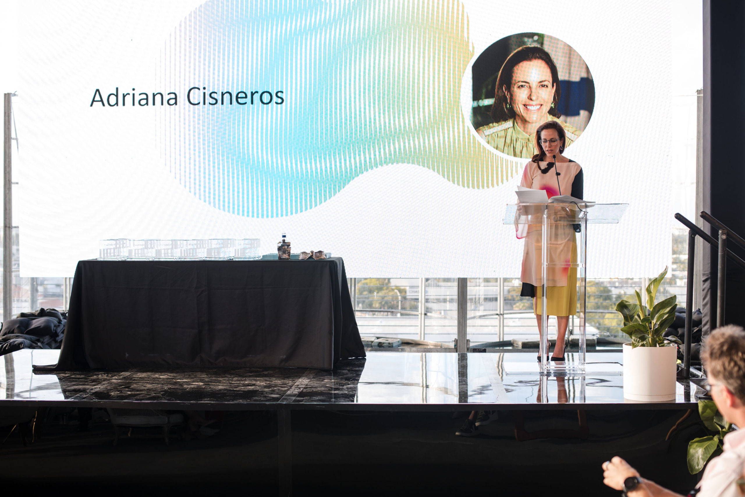 Adriana Cisneros 7457
