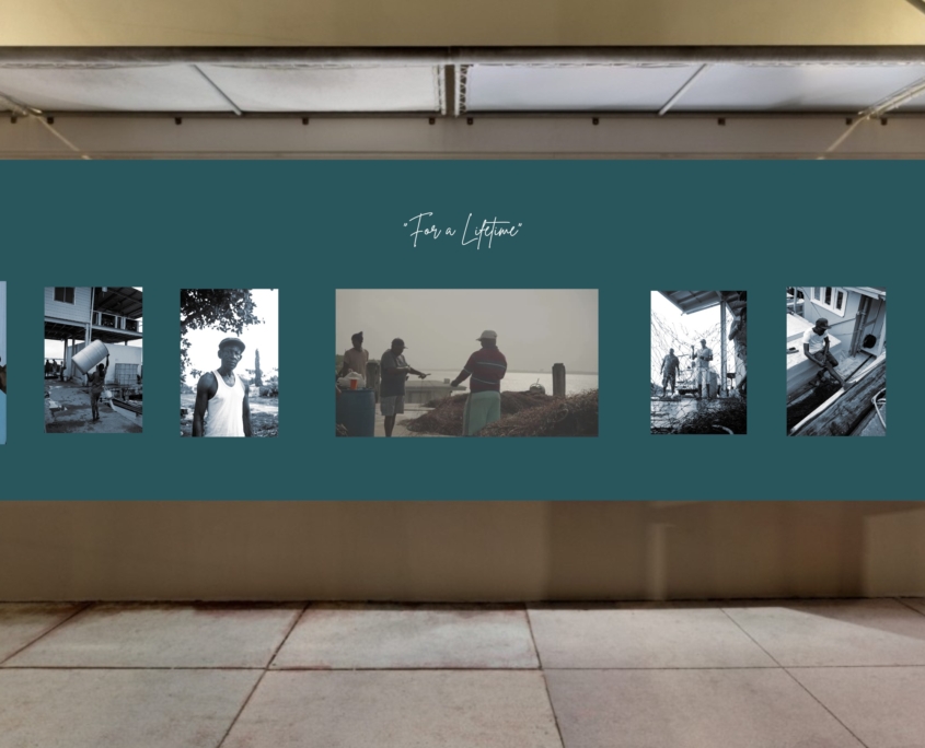 “For a lifetime” 2