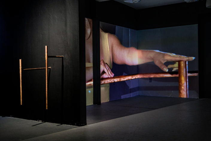 Roxana Barba Solo Show 2026