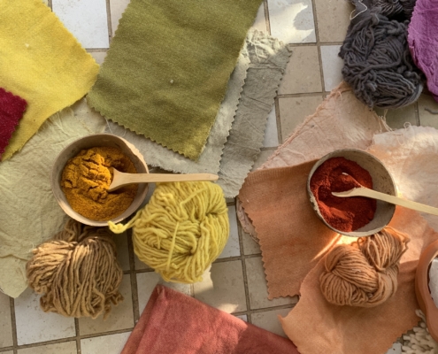 Natural Dyes Veronica Buitron