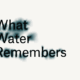 www